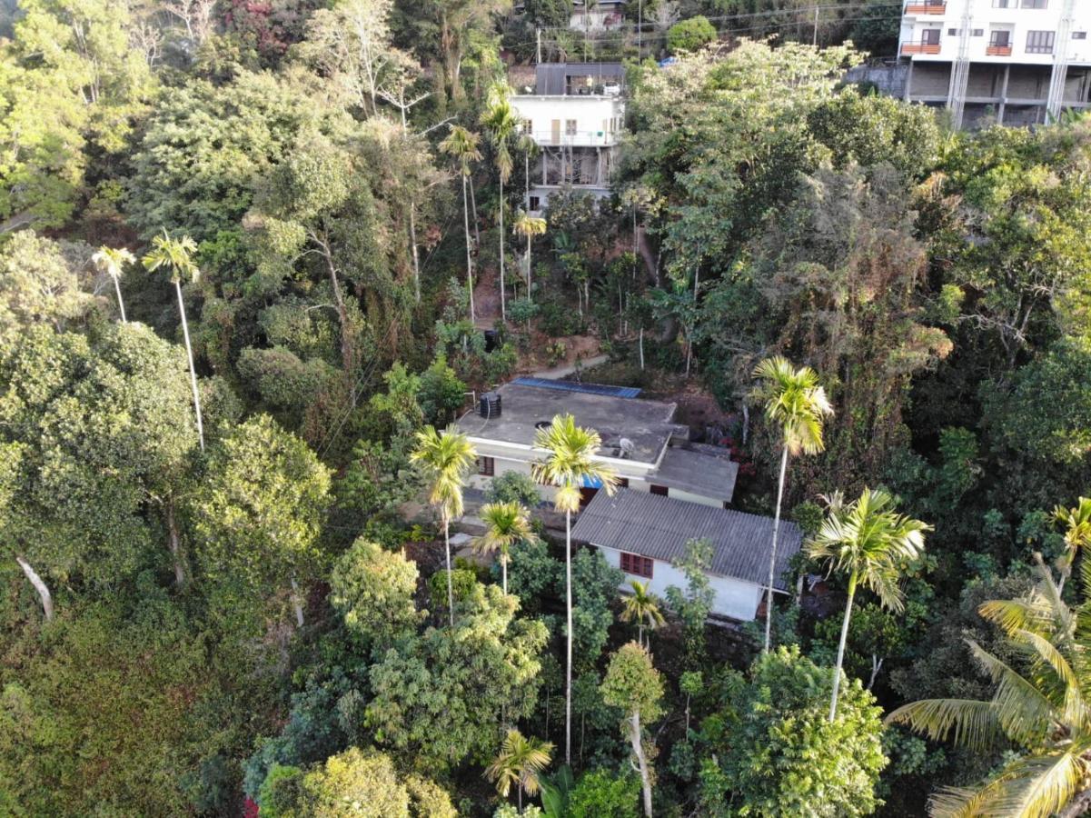 Greenpepperhomestay Munnar Anaviratty Zewnętrze zdjęcie